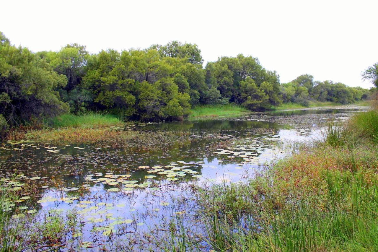 Ndlovu Log Home Dinokeng Klipdrift Exteriör bild