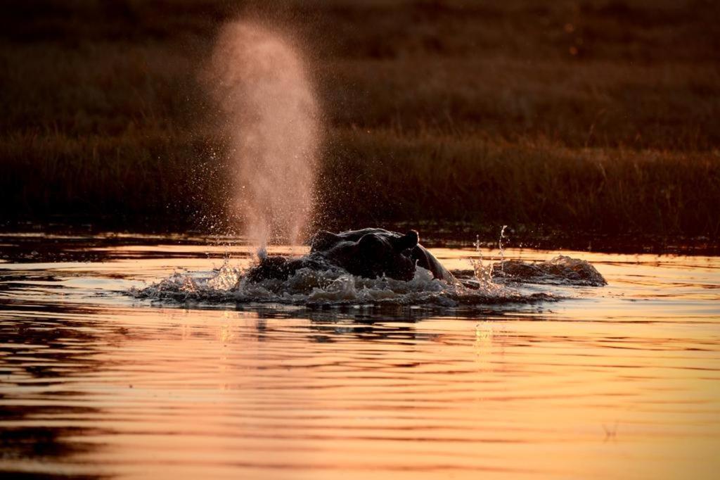 Ndlovu Log Home Dinokeng Klipdrift Exteriör bild